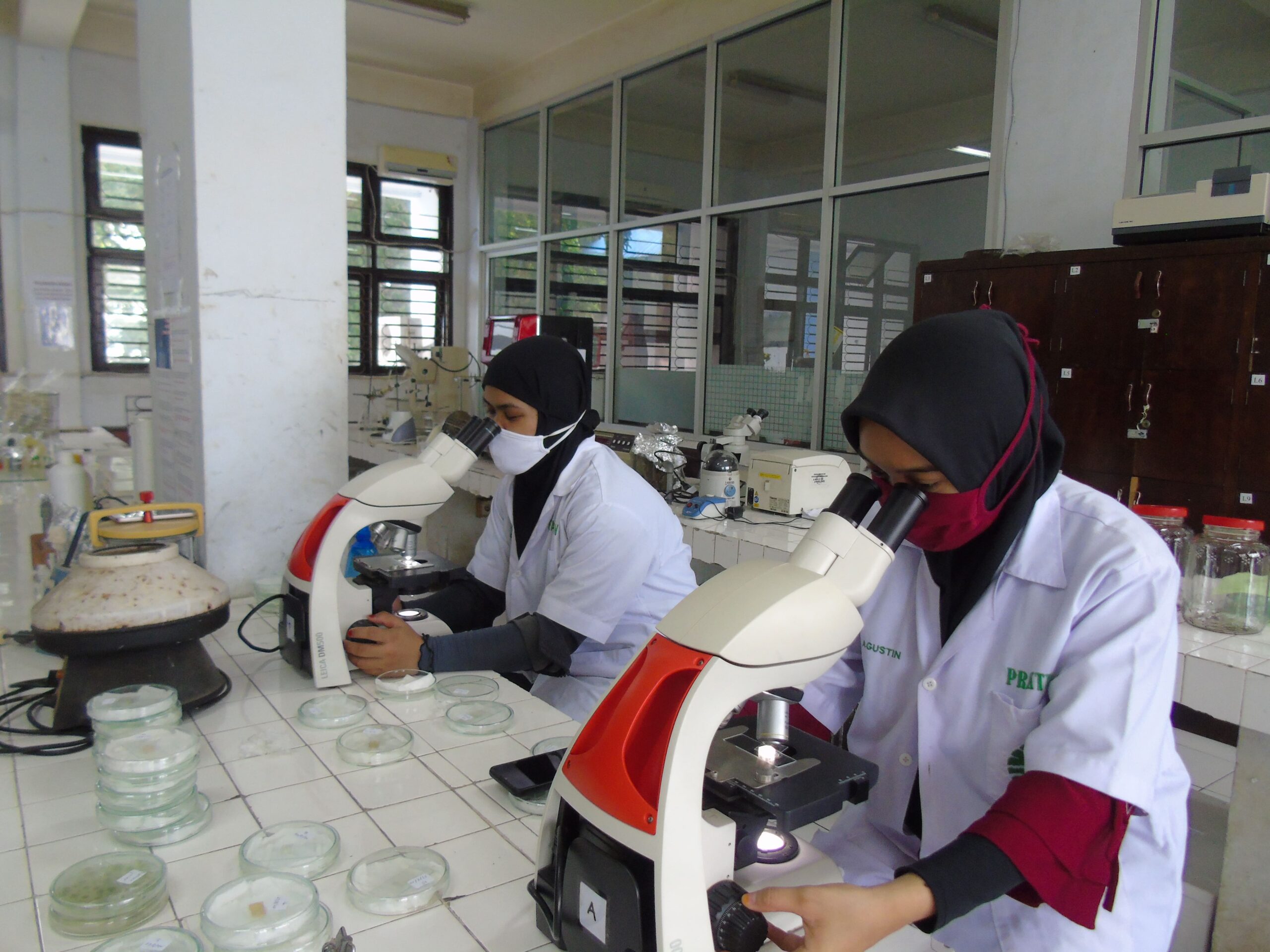 Laboratorium Biologi